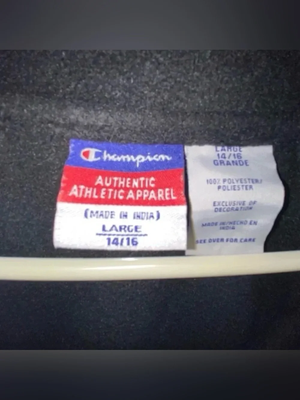 Champion Fleece Sweatshirt Boys Large (14/16)